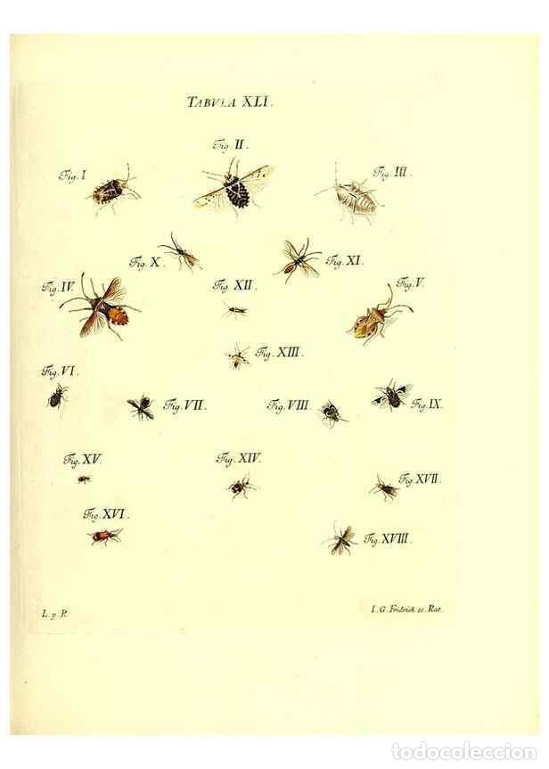 Coleccionismo de Revistas y Peri&oacute;dicos: Reproducci&oacute;n/Reproduction 49810597702: Iacobi Christiani Schaefferi s.s. theologiae et philosophiae