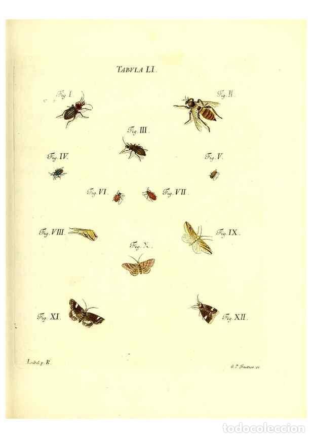 Coleccionismo de Revistas y Peri&oacute;dicos: Reproducci&oacute;n/Reproduction 49810300226: Iacobi Christiani Schaefferi s.s. theologiae et philosophiae