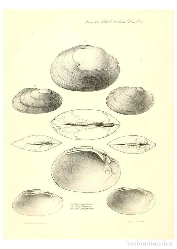 Sammeln von Zeitschriften und Zeitungen: Reproducci&oacute;n/Reproduction 49806455278: Transactions of the American Philosophical Society.. Philadel