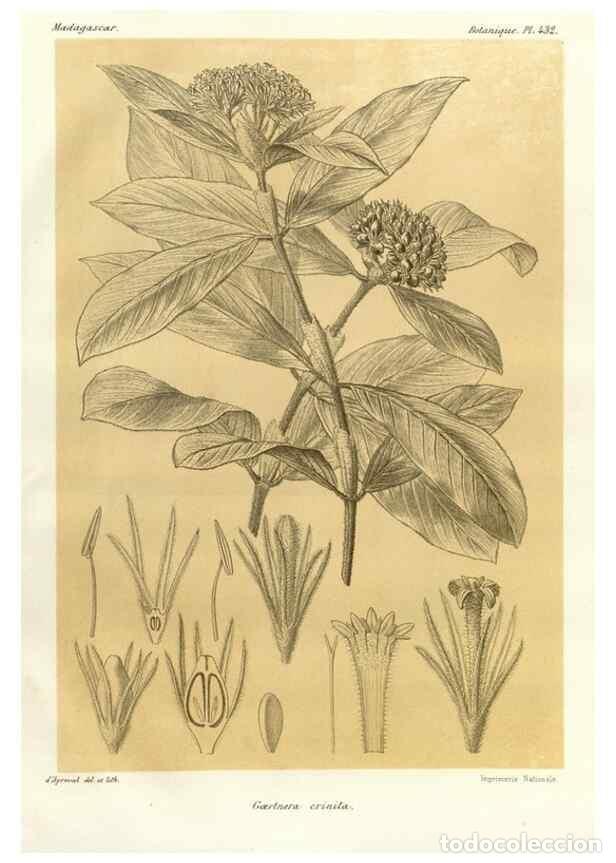 Collectionnisme de Revues et Journaux: Reproducci&oacute;n/Reproduction 49785570013: Histoire physique, naturelle, et politique de Madagascar. Par