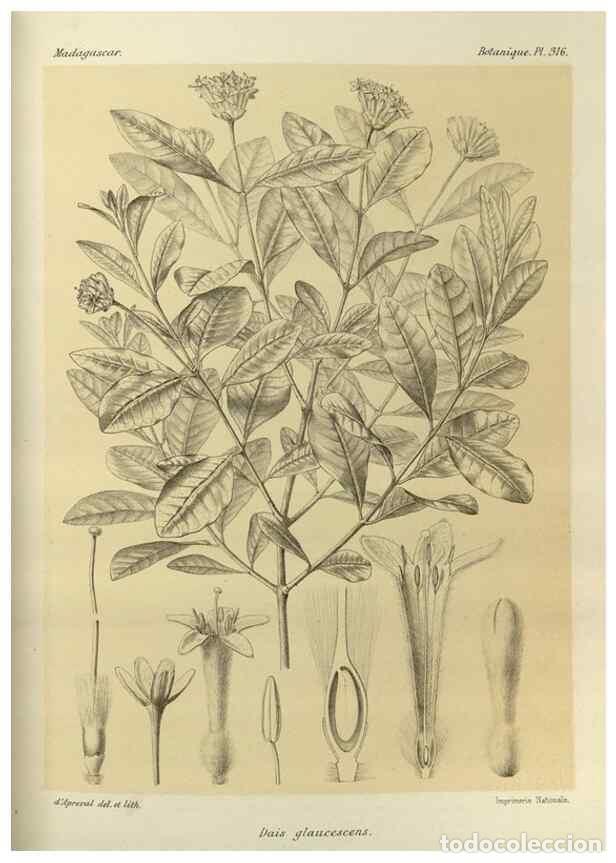 Sammeln von Zeitschriften und Zeitungen: Reproducci&oacute;n/Reproduction 49786365982: Histoire physique, naturelle, et politique de Madagascar. Par