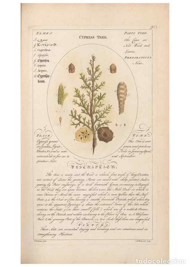 Collectionnisme de Revues et Journaux: Reproducci&oacute;n/Reproduction 49788390292: Botanicum medicinale :. London :Printed for J. Millan, opposi