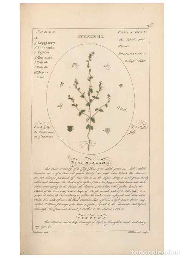 Collectionnisme de Revues et Journaux: Reproducci&oacute;n/Reproduction 49787530618: Botanicum medicinale :. London :Printed for J. Millan, opposi