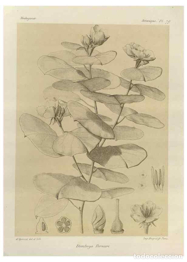 Collezionismo di Riviste e Giornali: Reproducci&oacute;n/Reproduction 49786175612: Histoire physique, naturelle, et politique de Madagascar. Par