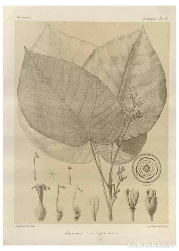 Collectionnisme de Revues et Journaux: Reproducci&oacute;n/Reproduction 49785320073: Histoire physique, naturelle, et politique de Madagascar. Par