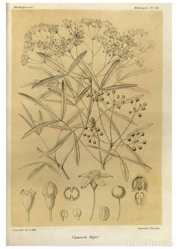 Collezionismo di Riviste e Giornali: Reproducci&oacute;n/Reproduction 49786422462: Histoire physique, naturelle, et politique de Madagascar. Par