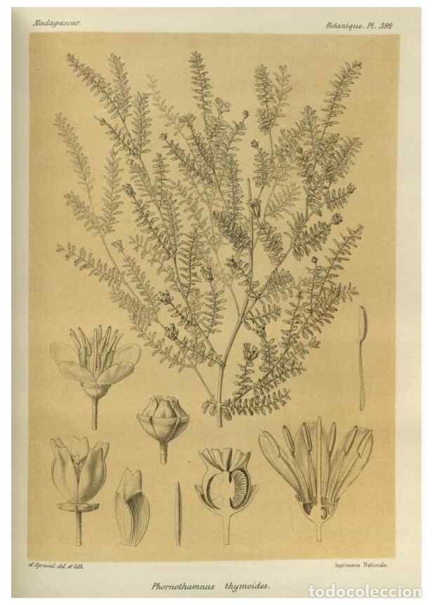 Collectionnisme de Revues et Journaux: Reproducci&oacute;n/Reproduction 49786390302: Histoire physique, naturelle, et politique de Madagascar. Par