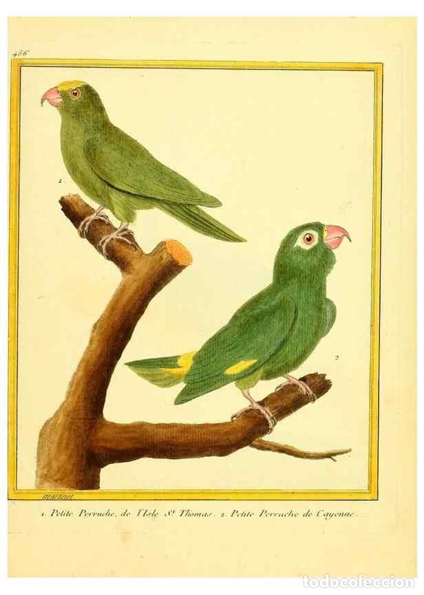 Sammeln von Zeitschriften und Zeitungen: Reproducci&oacute;n/Reproduction 49639311833: Planches enlumin&eacute;es d'histoire naturelle. Paris? :s.n.,1765-1
