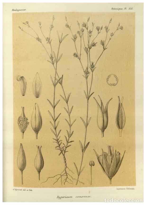 Sammeln von Zeitschriften und Zeitungen: Reproducci&oacute;n/Reproduction 49786371822: Histoire physique, naturelle, et politique de Madagascar. Par