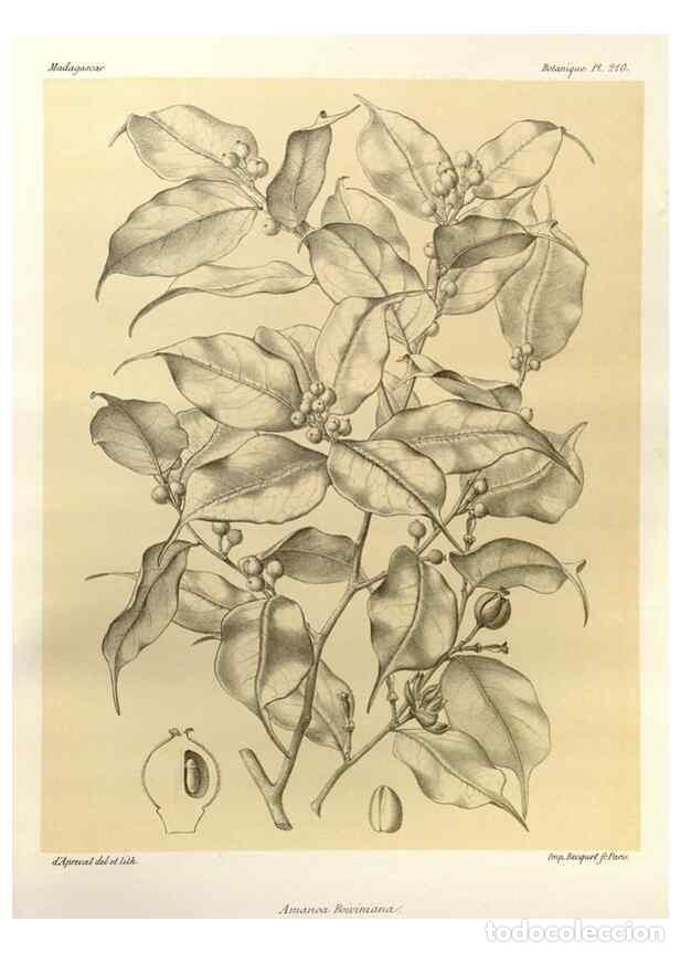 Sammeln von Zeitschriften und Zeitungen: Reproducci&oacute;n/Reproduction 49786244852: Histoire physique, naturelle, et politique de Madagascar. Par