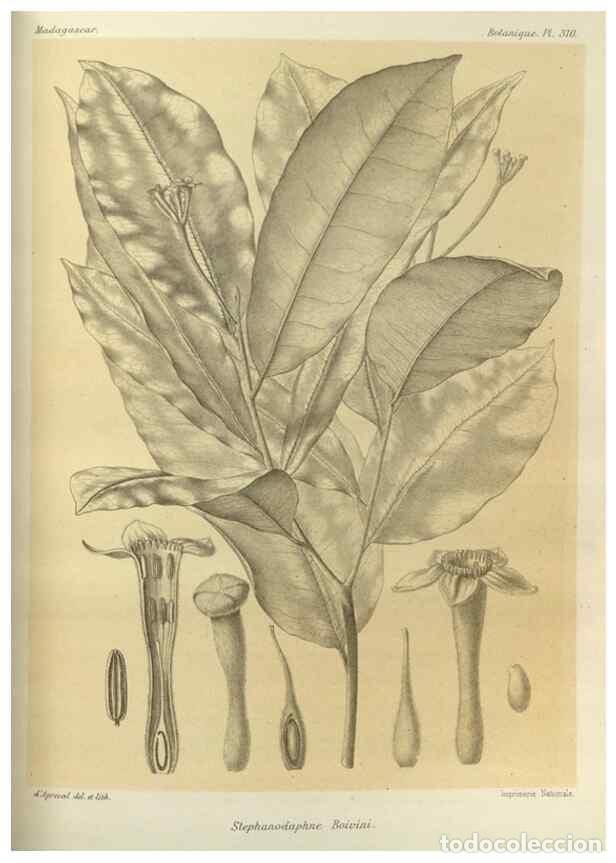 Sammeln von Zeitschriften und Zeitungen: Reproducci&oacute;n/Reproduction 49786044746: Histoire physique, naturelle, et politique de Madagascar. Par