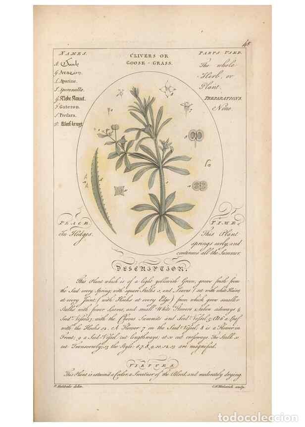 Sammeln von Zeitschriften und Zeitungen: Reproducci&oacute;n/Reproduction 49787532278: Botanicum medicinale :. London :Printed for J. Millan, opposi