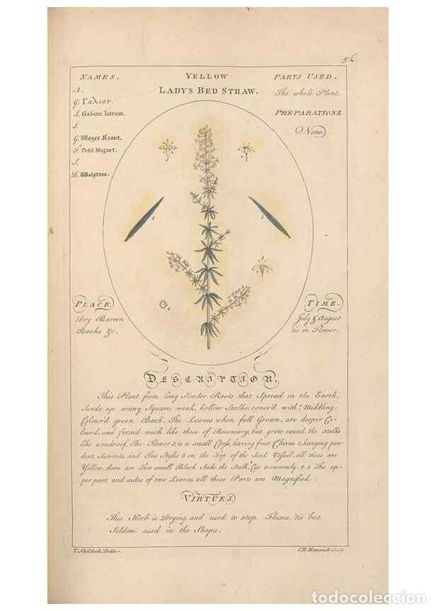 Sammeln von Zeitschriften und Zeitungen: Reproducci&oacute;n/Reproduction 49788075111: Botanicum medicinale :. London :Printed for J. Millan, opposi