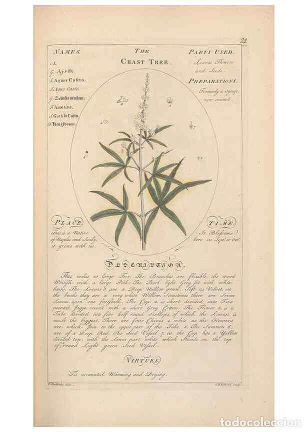 Collection Magazines and Newspapers: Reproducci&oacute;n/Reproduction 49788067961: Botanicum medicinale :. London :Printed for J. Millan, opposi