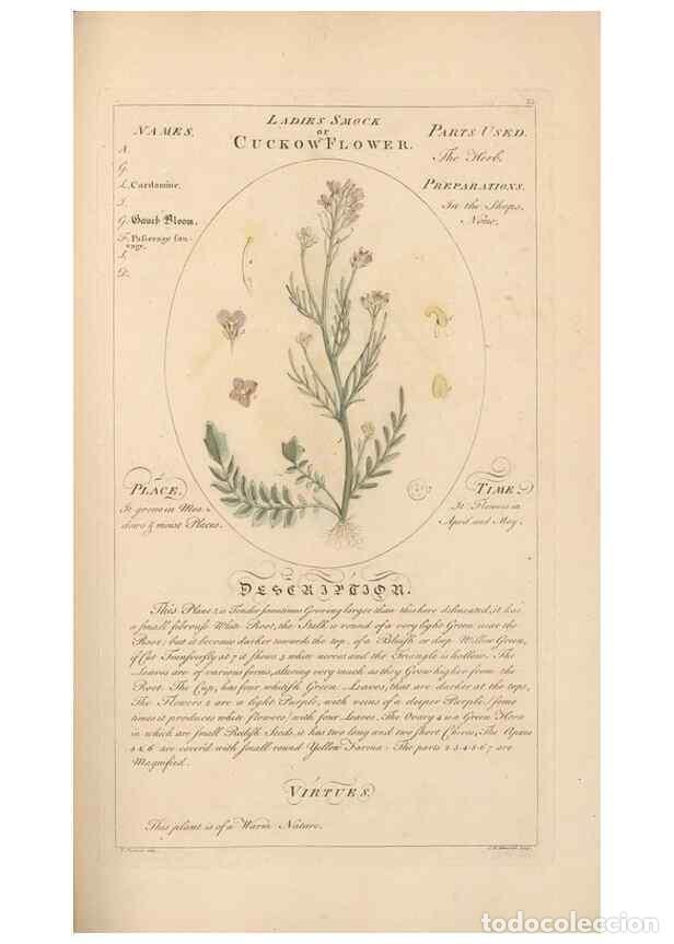 Collection Magazines and Newspapers: Reproducci&oacute;n/Reproduction 49788395382: Botanicum medicinale :. London :Printed for J. Millan, opposi