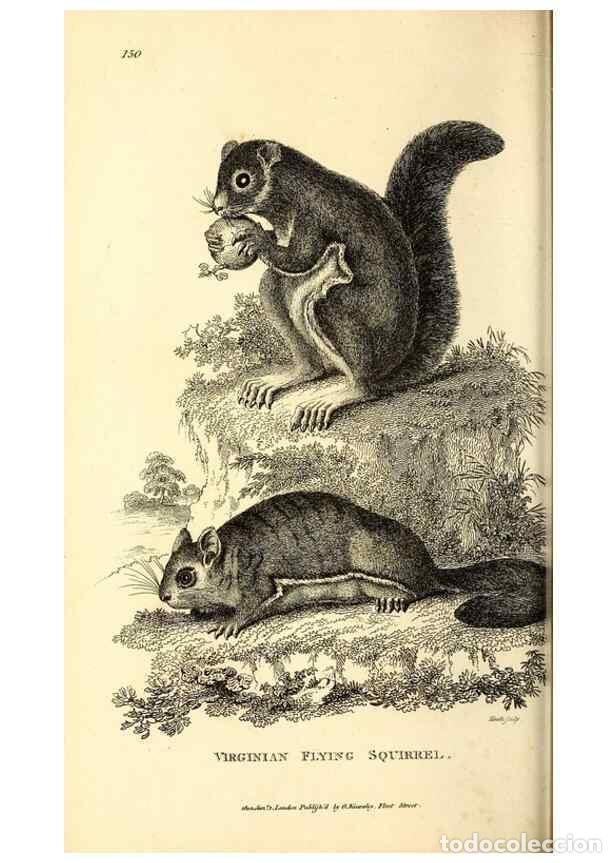 Collection Magazines and Newspapers: Reproducci&oacute;n/Reproduction 49826839297: General zoology, or Systematic natural history. London,Printe