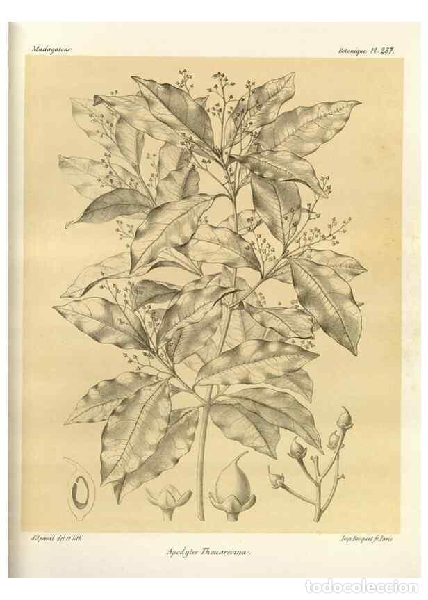 Collection Magazines and Newspapers: Reproducci&oacute;n/Reproduction 49785935366: Histoire physique, naturelle, et politique de Madagascar. Par