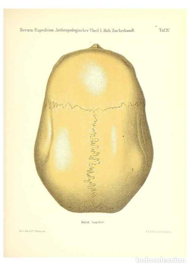 Collectionnisme de Revues et Journaux: Reproducci&oacute;n/Reproduction 49830591663: Reise der &ouml;sterreichischen Fregatte Novara. Wien,Kaiserlich-K