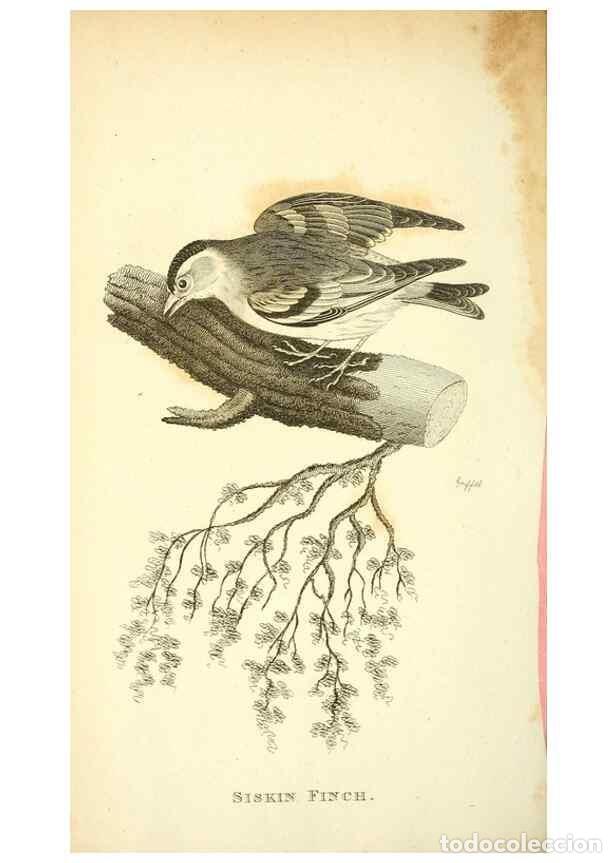 Collection Magazines and Newspapers: Reproducci&oacute;n/Reproduction 49831102602: General zoology, or Systematic natural history. London,Printe