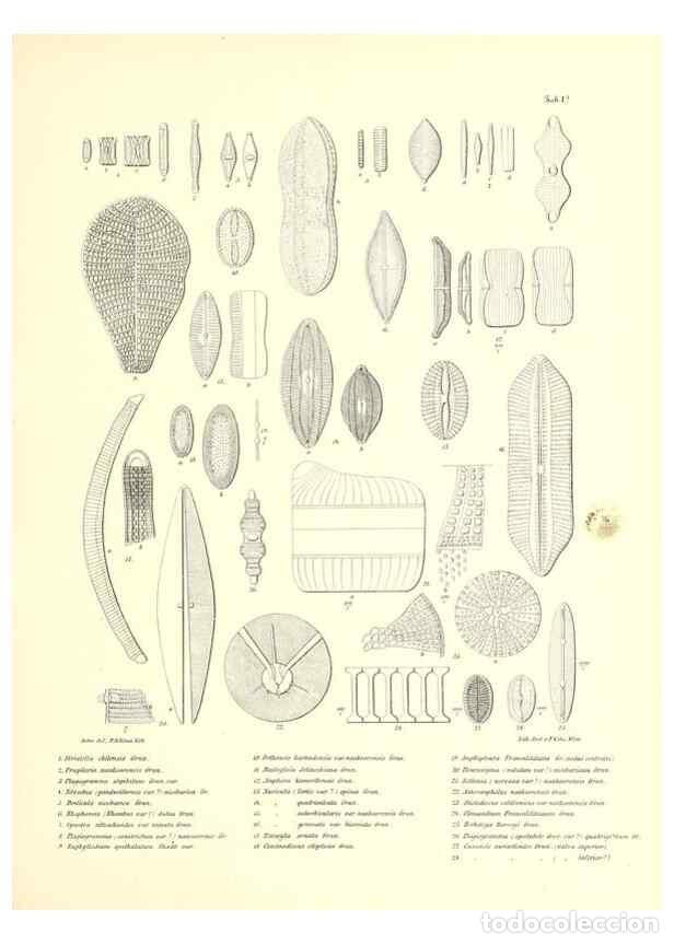 Collezionismo di Riviste e Giornali: Reproducci&oacute;n/Reproduction 49831221671: Reise der &ouml;sterreichischen Fregatte Novara. Wien,Kaiserlich-K
