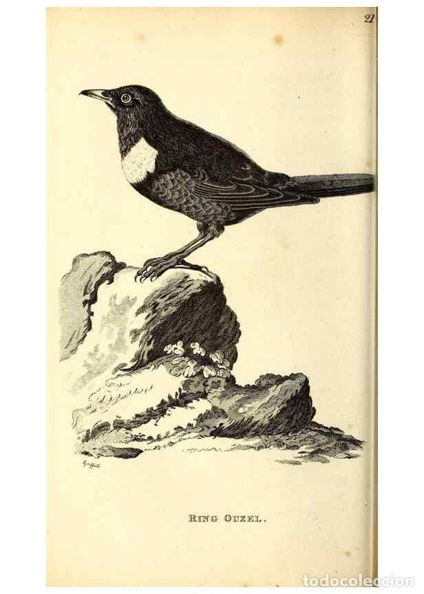 Collection Magazines and Newspapers: Reproducci&oacute;n/Reproduction 49830116653: General zoology, or Systematic natural history. London,Printe