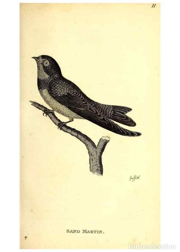 Collection Magazines and Newspapers: Reproducci&oacute;n/Reproduction 49830645426: General zoology, or Systematic natural history. London,Printe