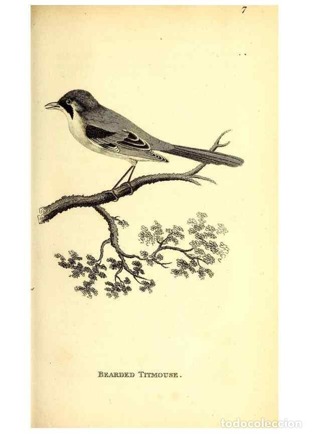 Collection Magazines and Newspapers: Reproducci&oacute;n/Reproduction 49830953762: General zoology, or Systematic natural history. London,Printe