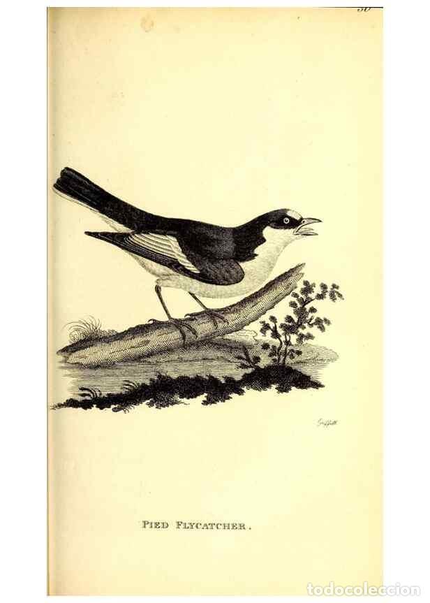 Collection Magazines and Newspapers: Reproducci&oacute;n/Reproduction 49830120068: General zoology, or Systematic natural history. London,Printe