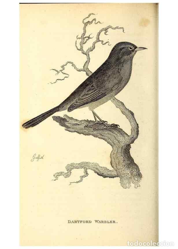 Collection Magazines and Newspapers: Reproducci&oacute;n/Reproduction 49830127633: General zoology, or Systematic natural history. London,Printe