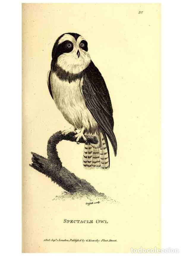 Collezionismo di Riviste e Giornali: Reproducci&oacute;n/Reproduction 49829532828: General zoology, or Systematic natural history. London,Printe