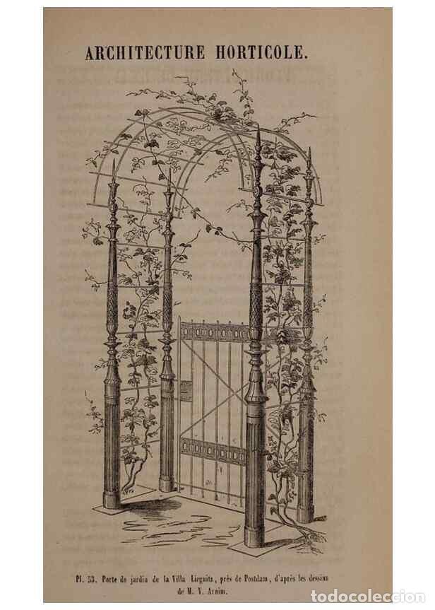 Collectionnisme de Revues et Journaux: Reproducci&oacute;n/Reproduction 49264953042: Belgique horticole.. Li&eacute;ge.. - Morren, Charles,