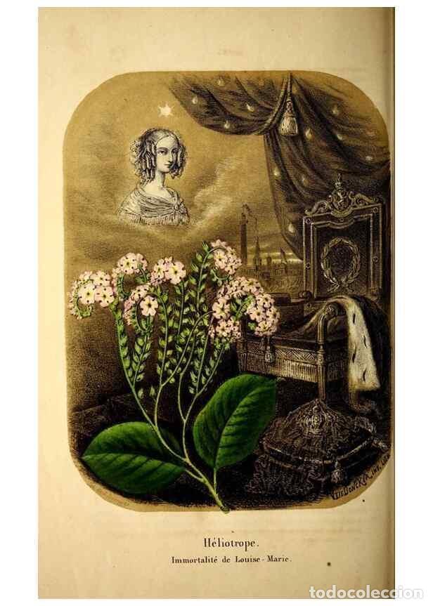 Colecionismo de Revistas e Jornais: Reproducci&oacute;n/Reproduction 49269338241: Belgique horticole.. Li&eacute;ge.. - Morren, Charles,