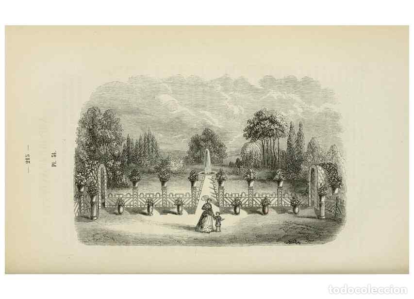 Collezionismo di Riviste e Giornali: Reproducci&oacute;n/Reproduction 49268996632: Belgique horticole.. Li&eacute;ge.. - Morren, Charles,