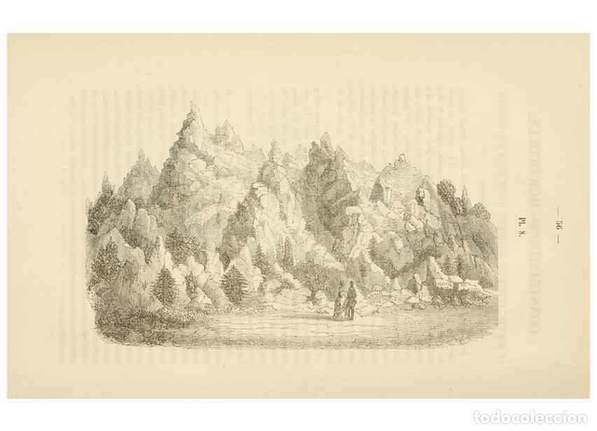 Collezionismo di Riviste e Giornali: Reproducci&oacute;n/Reproduction 49268519938: Belgique horticole.. Li&eacute;ge.. - Morren, Charles,