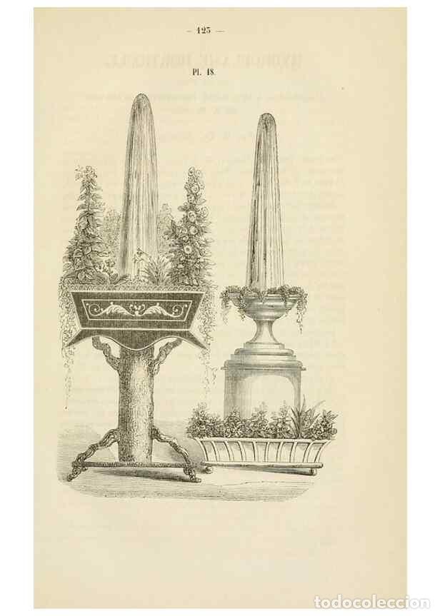 Collezionismo di Riviste e Giornali: Reproducci&oacute;n/Reproduction 49268981371: Belgique horticole.. Li&eacute;ge.. - Morren, Charles,