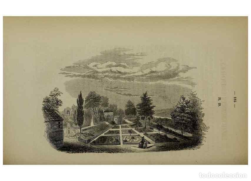 Colecionismo de Revistas e Jornais: Reproducci&oacute;n/Reproduction 49265151736: Belgique horticole.. Li&eacute;ge.. - Morren, Charles,