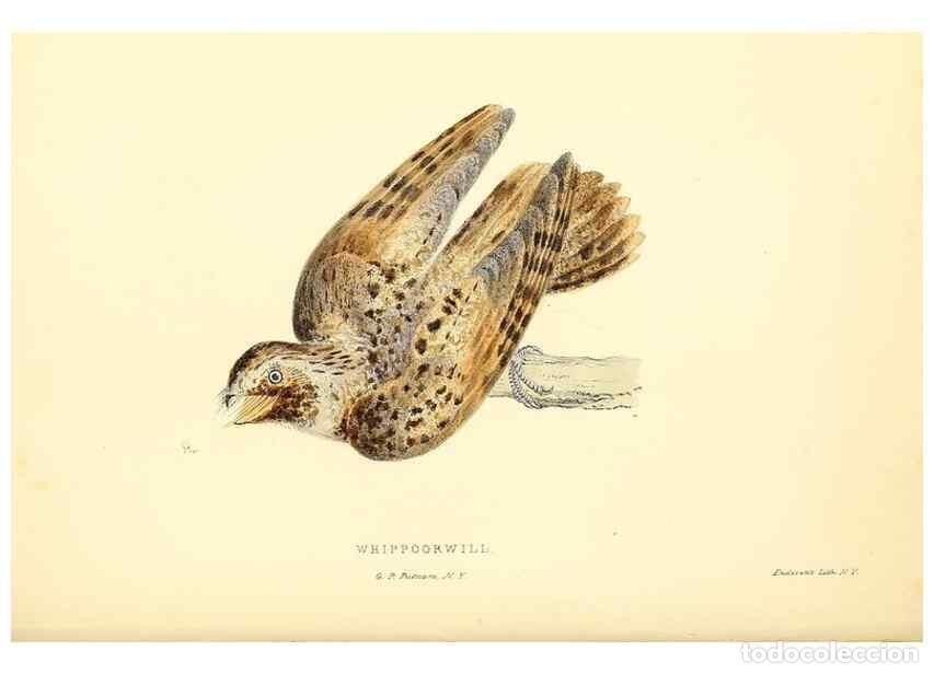 Collectionnisme de Revues et Journaux: Reproducci&oacute;n/Reproduction 49353125577: Rural hours. New York,George P. Putnam,1851.. - Cooper, Susan