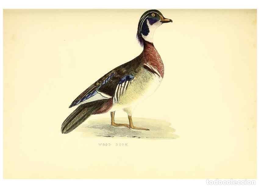 Collectionnisme de Revues et Journaux: Reproducci&oacute;n/Reproduction 49352464083: Rural hours. New York,George P. Putnam,1851.. - Cooper, Susan