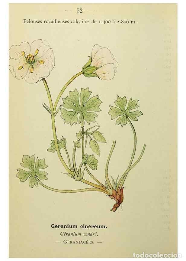 Collection Magazines and Newspapers: Reproducci&oacute;n/Reproduction 49345399551: Nouvelle flore colori&eacute;e de poche des Alpes et des Pyr&eacute;n&eacute;es..