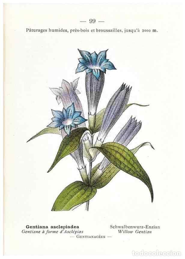 Colecionismo de Revistas e Jornais: Reproducci&oacute;n/Reproduction 49345758582: Nouvelle flore colori&eacute;e de poche des Alpes et des Pyr&eacute;n&eacute;es..