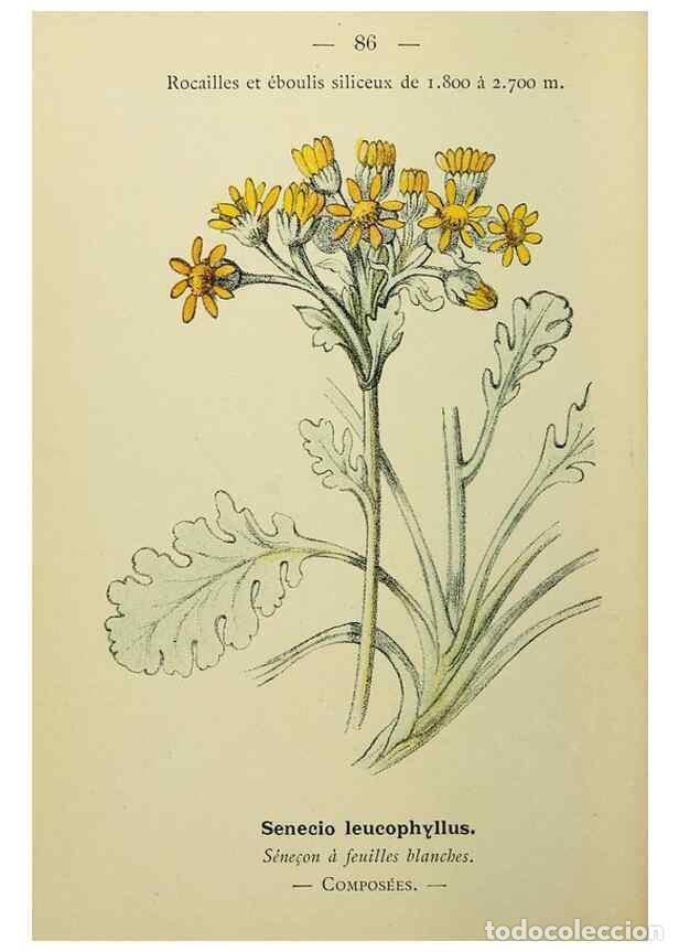 Colecionismo de Revistas e Jornais: Reproducci&oacute;n/Reproduction 49344968123: Nouvelle flore colori&eacute;e de poche des Alpes et des Pyr&eacute;n&eacute;es..