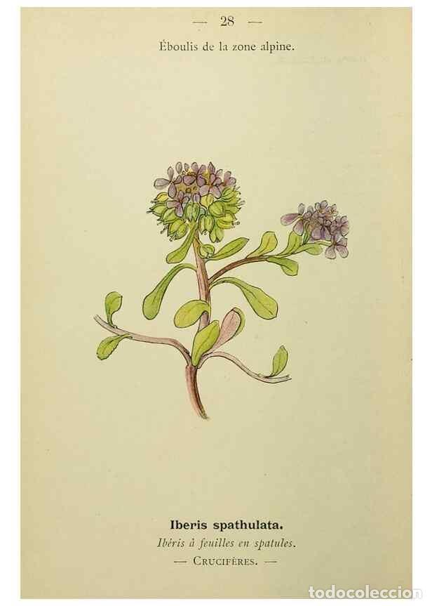 Sammeln von Zeitschriften und Zeitungen: Reproducci&oacute;n/Reproduction 49345398076: Nouvelle flore colori&eacute;e de poche des Alpes et des Pyr&eacute;n&eacute;es..