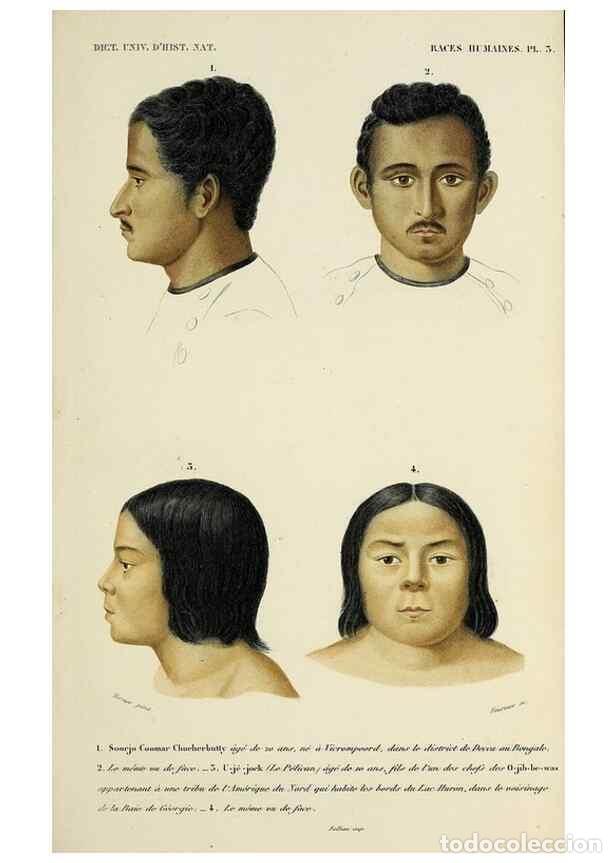 Sammeln von Zeitschriften und Zeitungen: Reproducci&oacute;n/Reproduction 49724034656: Dictionnaire universel d'histoire naturelle :. Paris :Chez le