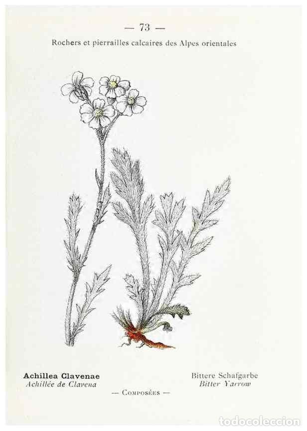 Sammeln von Zeitschriften und Zeitungen: Reproducci&oacute;n/Reproduction 49345075623: Nouvelle flore colori&eacute;e de poche des Alpes et des Pyr&eacute;n&eacute;es..