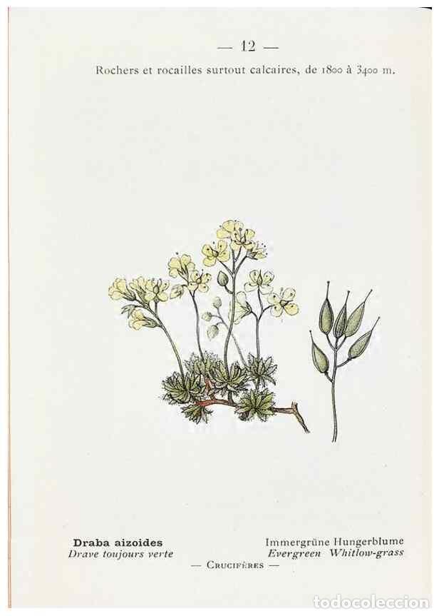 Sammeln von Zeitschriften und Zeitungen: Reproducci&oacute;n/Reproduction 49345037338: Nouvelle flore colori&eacute;e de poche des Alpes et des Pyr&eacute;n&eacute;es..