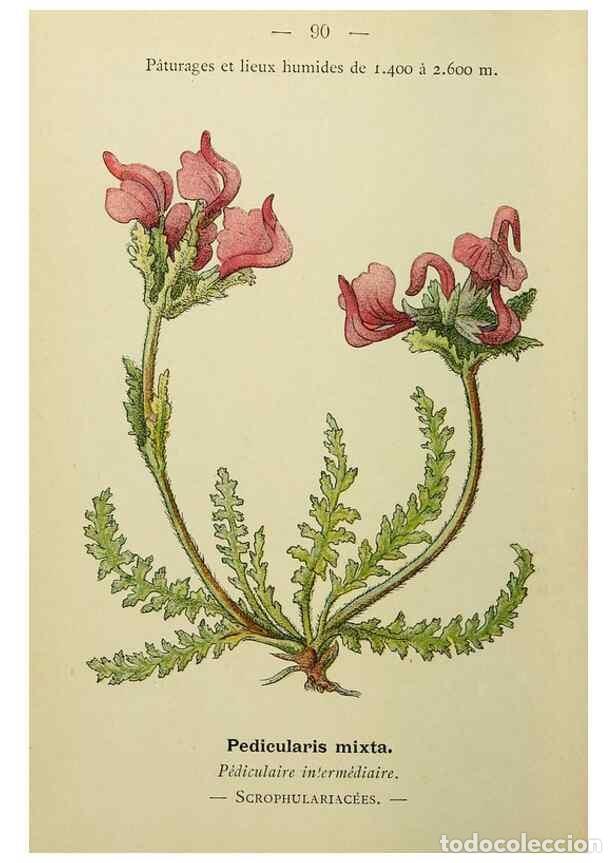 Sammeln von Zeitschriften und Zeitungen: Reproducci&oacute;n/Reproduction 49344969793: Nouvelle flore colori&eacute;e de poche des Alpes et des Pyr&eacute;n&eacute;es..