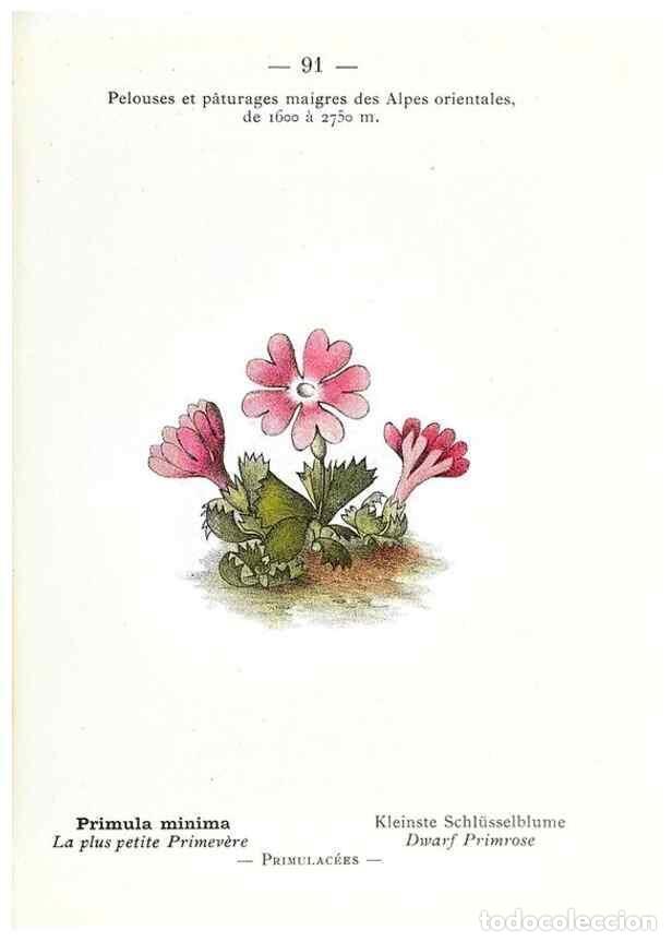 Sammeln von Zeitschriften und Zeitungen: Reproducci&oacute;n/Reproduction 49345082473: Nouvelle flore colori&eacute;e de poche des Alpes et des Pyr&eacute;n&eacute;es..