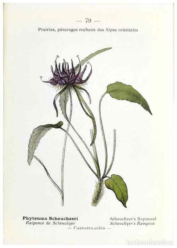 Sammeln von Zeitschriften und Zeitungen: Reproducci&oacute;n/Reproduction 49345751017: Nouvelle flore colori&eacute;e de poche des Alpes et des Pyr&eacute;n&eacute;es..