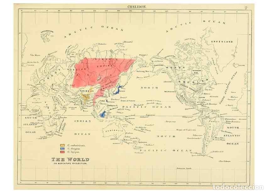 Sammeln von Zeitschriften und Zeitungen: Reproducci&oacute;n/Reproduction 49522103653: A monograph of the Hirundinidae or family of swallows. London