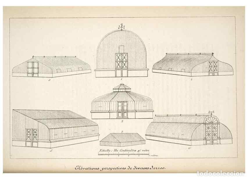 Collection Magazines and Newspapers: Reproducci&oacute;n/Reproduction 49684168131: L'Illustration horticole :. Gand, Belgium :Imprimerie et lith